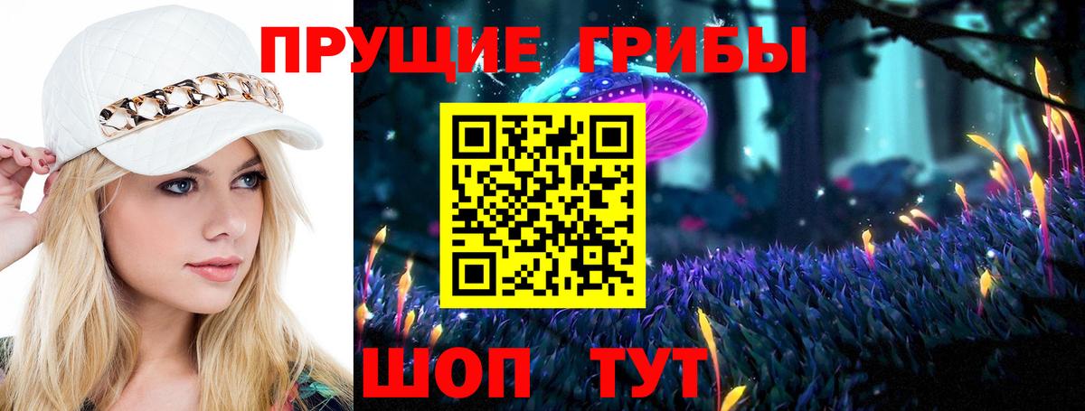дарнет шоп  Псилоцибиновые грибы прущие грибы  Вход с VPN  Кисловодск 
